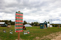 Moore Tree Farm