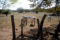 Costa Rica 1